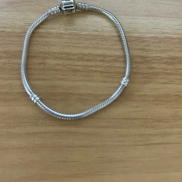 Pandora Authentic Moments Snake Chain - Picture 1 of 6